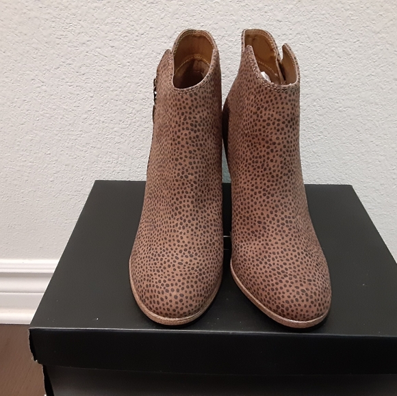 Michael Shannon - Picture 4 of 4